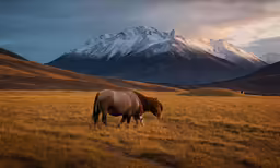 two horses in a pasture with mountains in the background