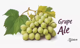 grapes with leaves on top and a grape ale word below