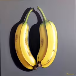two bananas hanging on to a gray background