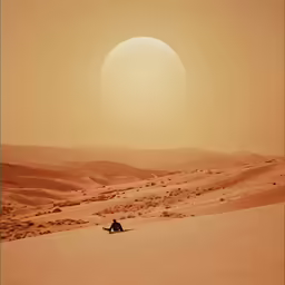 an elephant sitting in the desert under a bright sun