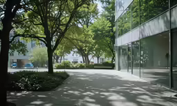 a man sits on a bench under the trees and looks at the scenery
