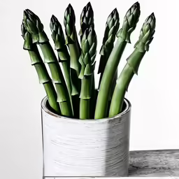 a close up of a potted plant on a table