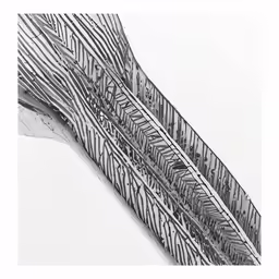 black and white drawing of an animal on the water