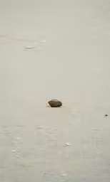 a small rock sitting in the middle of the sand