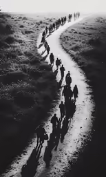 this photo has several black and white photos of people riding horses on a trail