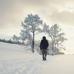 a person in black walking through snow covered ground