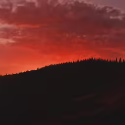 a group of people standing on top of a hill