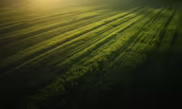 a grassy field that has a light shining on it
