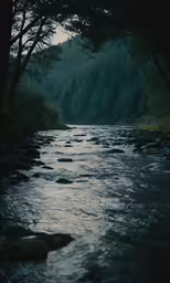 the calm river is lit by twilight with low light