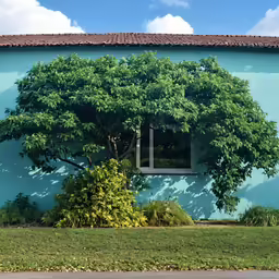 a view of a tree sitting in the middle of some bushes
