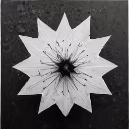 a close up of a flower on the ground