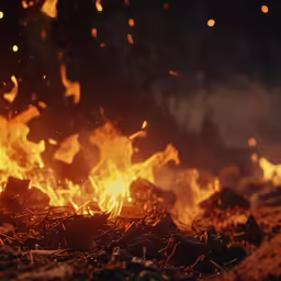 the blaze of fire is blazing through the field
