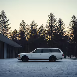 the mercedes benz limo was parked in front of some pine trees