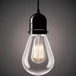 an image of a bulb light fixture