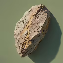 a rock is sitting on the surface of the ground