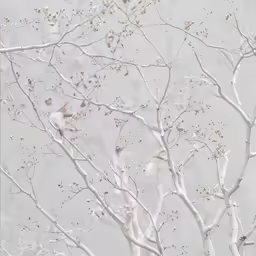 two birds perched on the branches of white tree