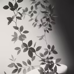 black and white photo of leaves on branch