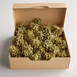 a brown cardboard box filled with green grass