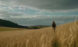a person walking on a dry field with a cloudy sky