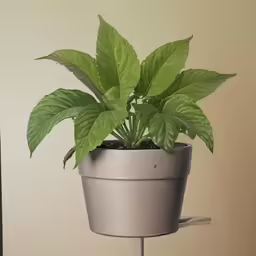 a potted plant is sitting on a stand