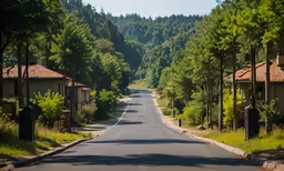 a paved street lined with small houses and pine trees