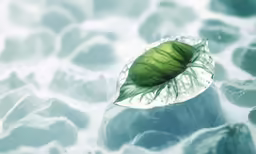 a leaf floating in the water with ice