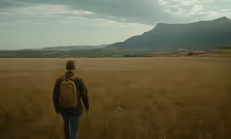 a man walks through a grass field with mountains in the background