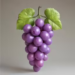 grapes with leaf in front of grey background