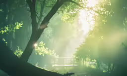 an empty bench in the middle of a wooded area