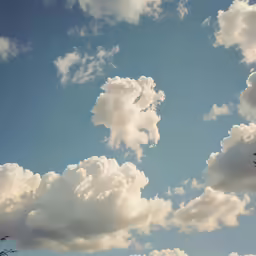 clouds in the sky, some flying, and some trees