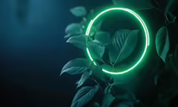 a green neon circle over a leafy plant