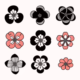 several black and white flowers are displayed,a white background with black and red flowers