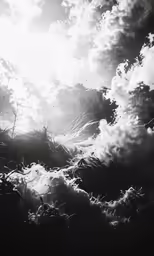 a group of birds flying in the sky