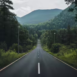 the large road is empty of vehicles and there are trees on either side