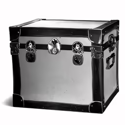 a trunk that has four pieces of metal in it