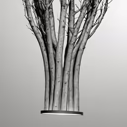 some branches that are tall up in the air