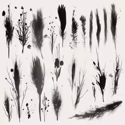 an image of plants and flowers drawn in black
