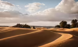 the clouds are over the sand dunes near trees