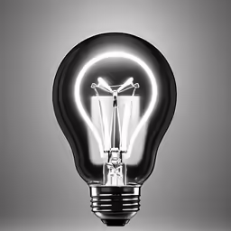 a lightbulb that has been turned on with the bulb glowing