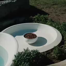 a bowl of cereal sits next to a sink in the back yard
