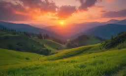 a field of grass and mountains with the sun setting behind it