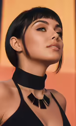 the model is wearing a black necktie and choker