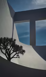 a tree in front of a cement wall
