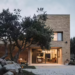 two trees are in front of a brick house