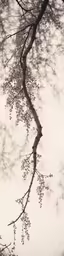 a tree branch is reflected in a pond of water