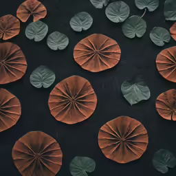 a bunch of green leaves laying on top of a black surface