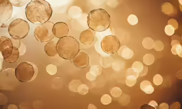 golden circles are hanging on a wall