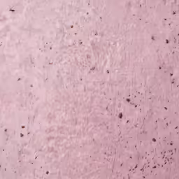 a pink wall with some spots on it