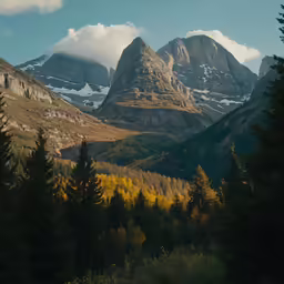 trees are seen along with mountains in the background