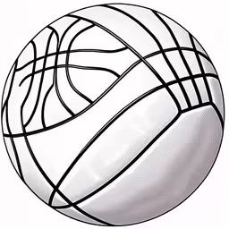 a drawing of a basketball ball in lines,a white basketball with a black graphic pattern,a drawing of a tennis ball,a white and black ball is on display,a drawing of a basketball ball with white and black lines